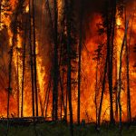 Smoke, Flames, and Firefighters: Inside B.C.’s Wildfire Crisis