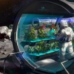 Farming Among the Stars – Growing Space Gardens